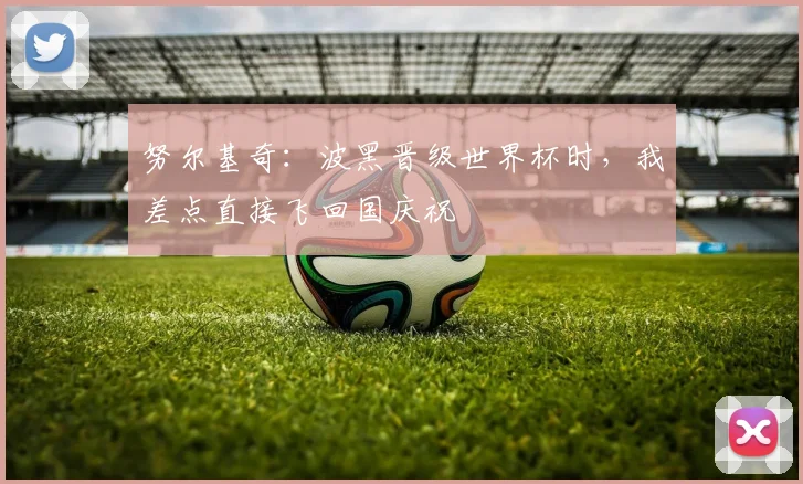 努尔基奇：波黑晋级世界杯时，我差点直接飞回国庆祝